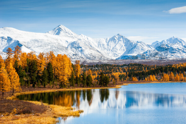 Autumn landscape with trees overlooking clear water and snow-capped mountains in background