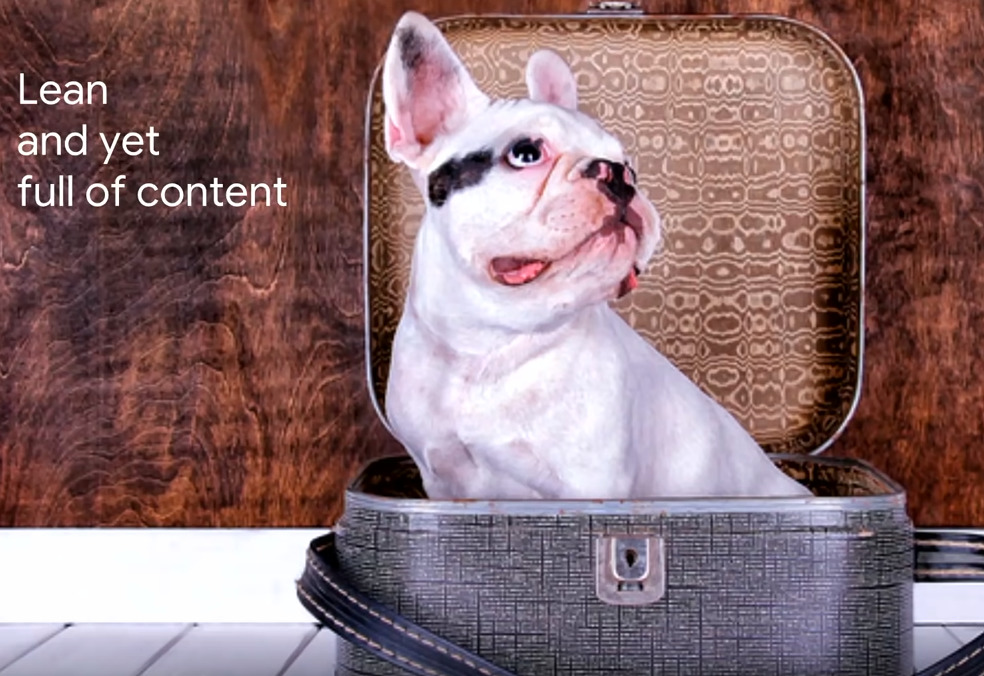 Words: "Lean and yet full of content" next to small dog coming out of unzipped handbag